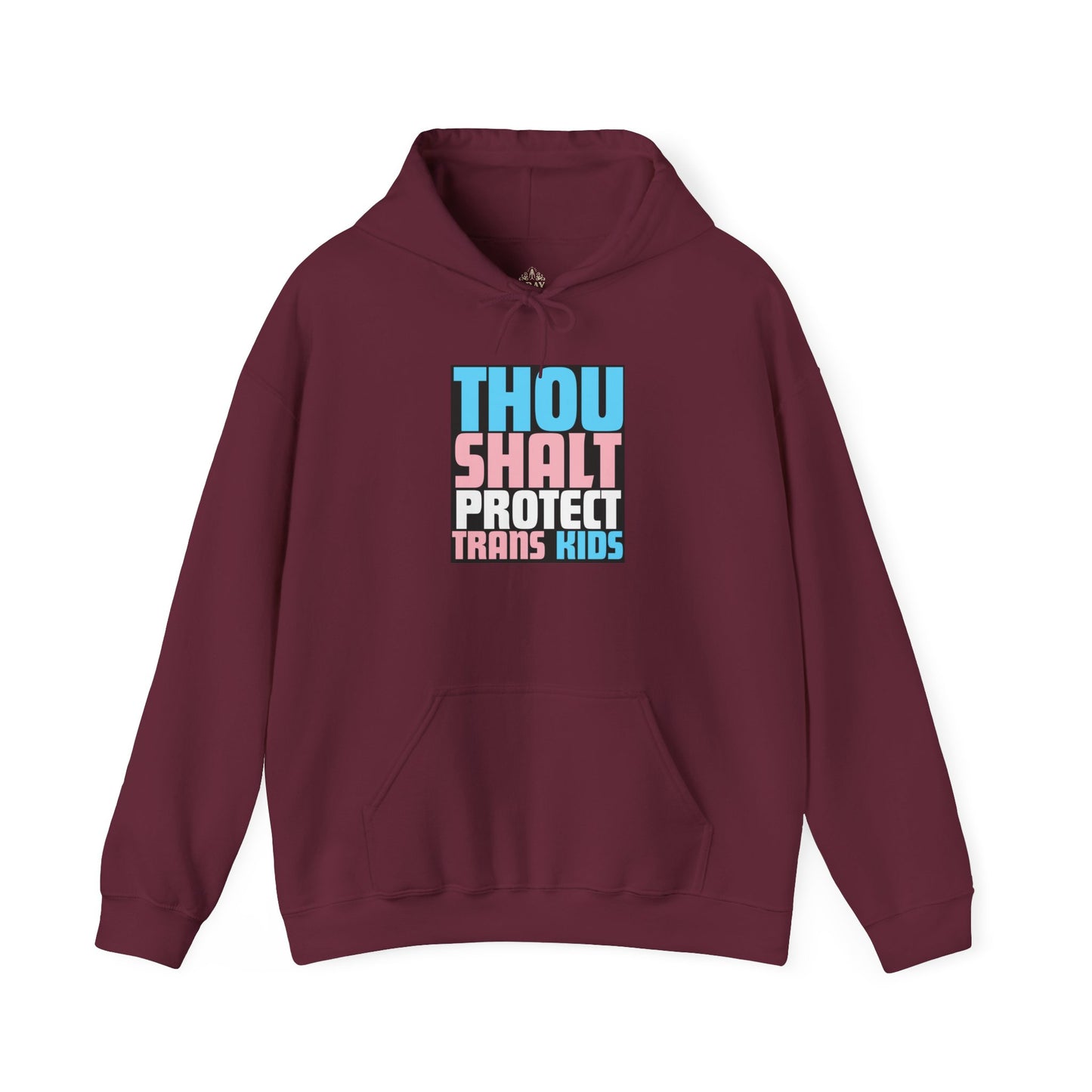 Thou Shalt Protect Trans Kids Hoodie