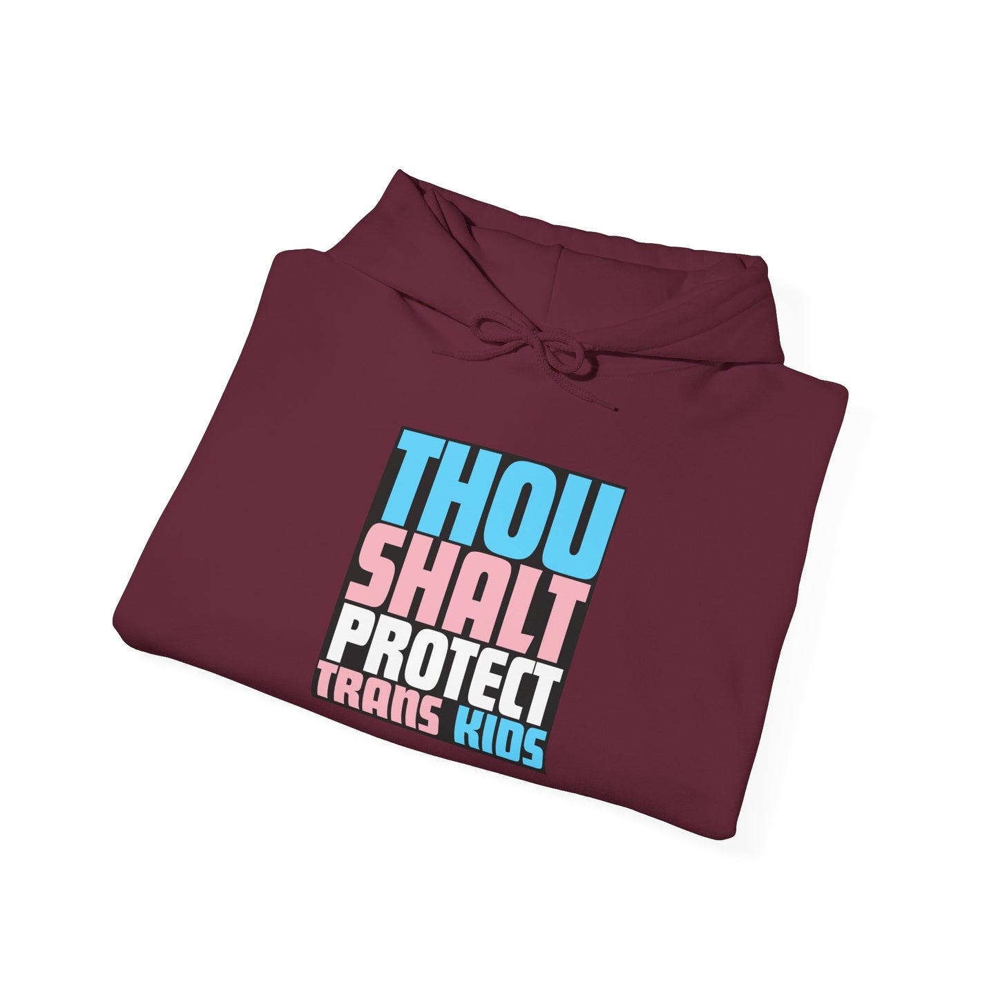 Thou Shalt Protect Trans Kids Hoodie