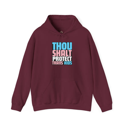 Thou Shalt Protect Trans Kids Hoodie